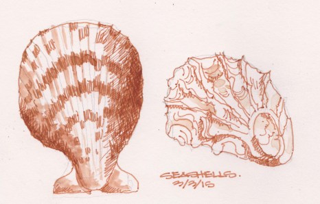2015-03-03 Seashells