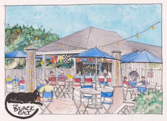 2015-06-20 Black Cat