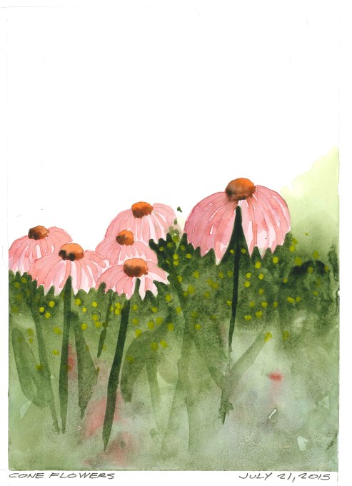 2015-07-21 Cone Flowers