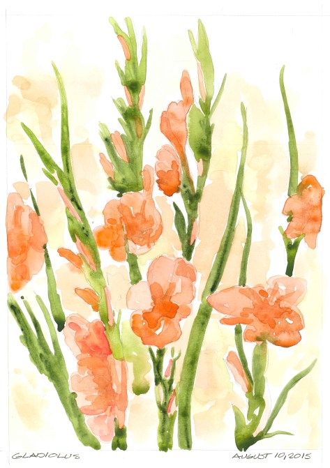 2015-08-10 Gladiolus