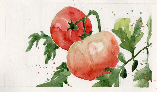 2015-08-17 Tomatoes
