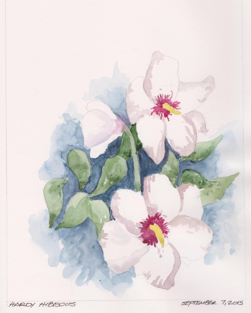 2015-09-07 White Hibiscus