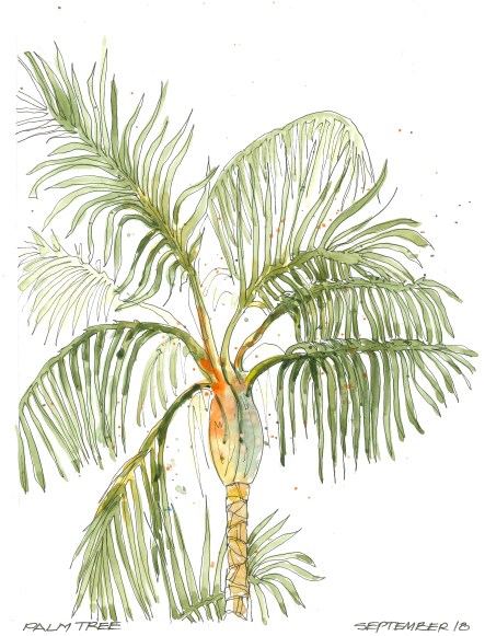 2015-09-18 Plam Tree