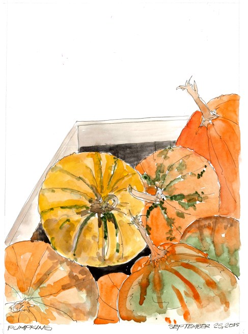 2015-09-25 Pumpkins