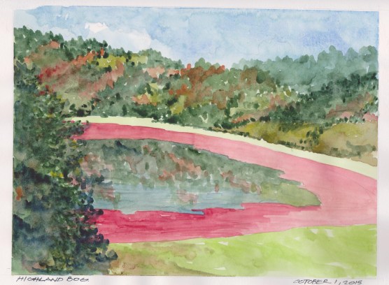 2015-10-01 Highland Bog