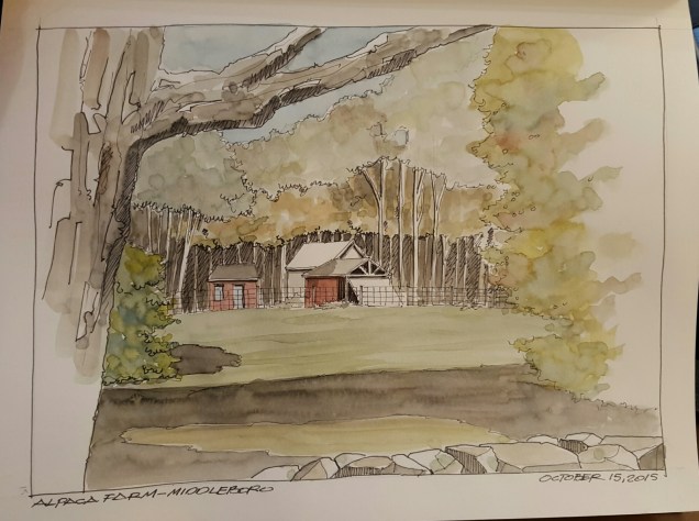 20151019_095438-1.jpg image