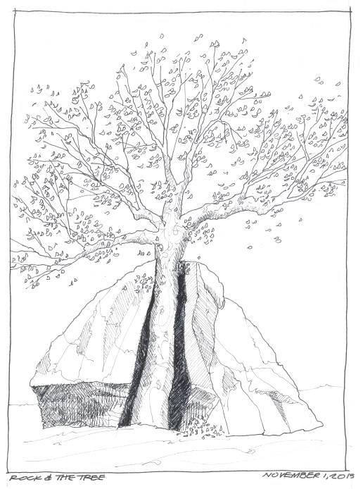 201511-01 Rock and Tree