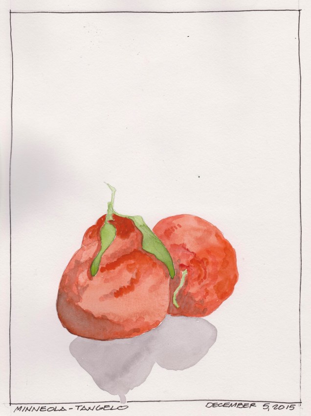 2015-12-05 Minneolas