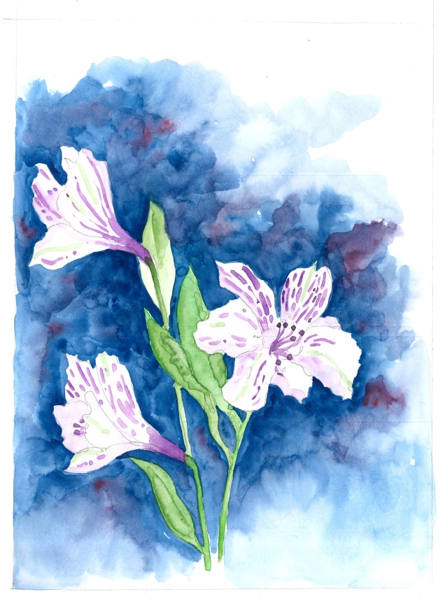 2016-01-04 White Flowers