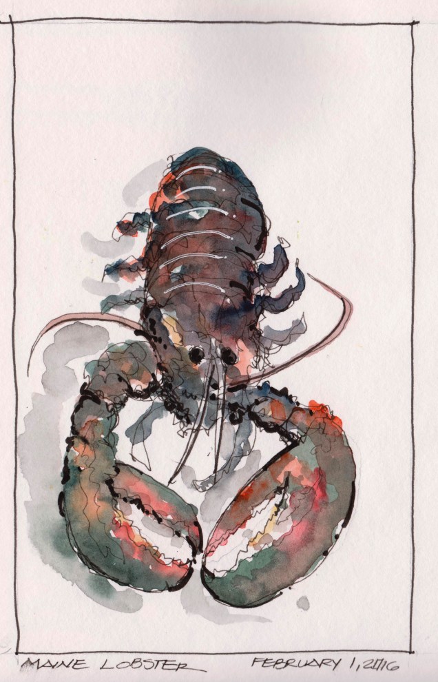 2016-02-01 Maine Lobster