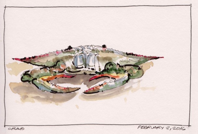 2016-02-02 Crab