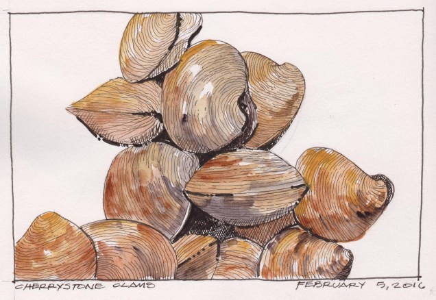 2016-02-05 Cherrystones