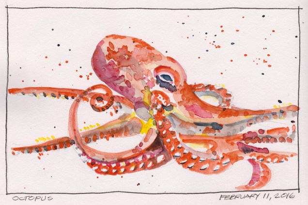 2016-02-11 Octopus