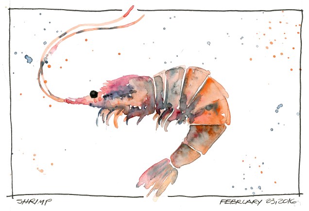 2016-02-23-Shrimp
