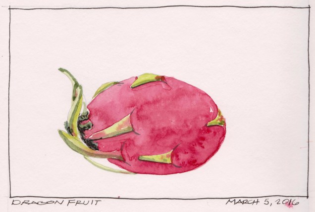 2016-03-05 Dragon Fruit
