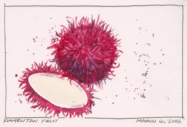 2016-03-06 Rambutan Fruit