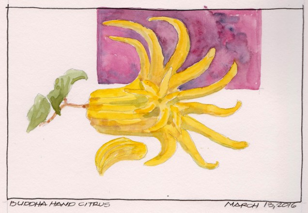 2016-03-13 Buddha Hand