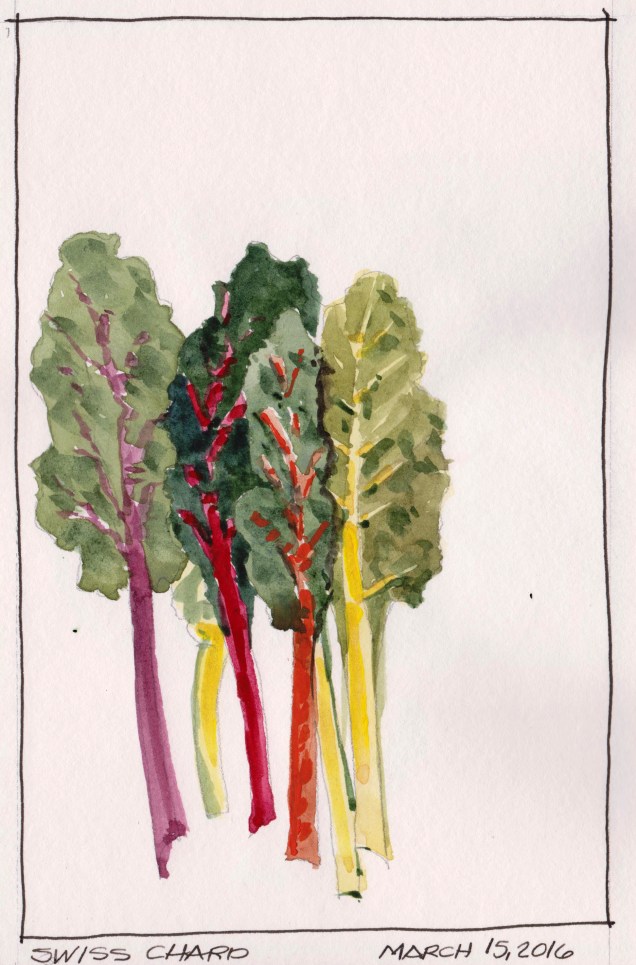2016-03-15 Swiss Chard