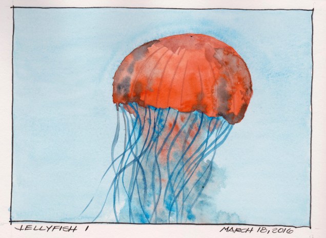 2016-03-18 Jellyfish I