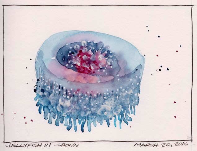 2016-03-20 Jellyfish III