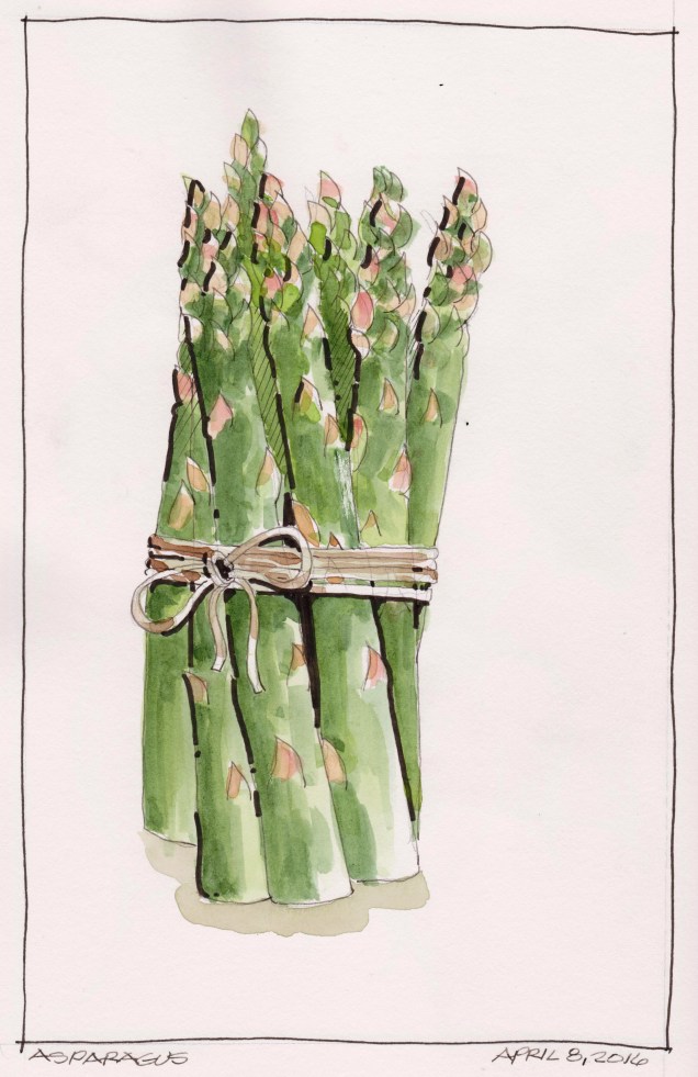 2016-04-08 Asparagus