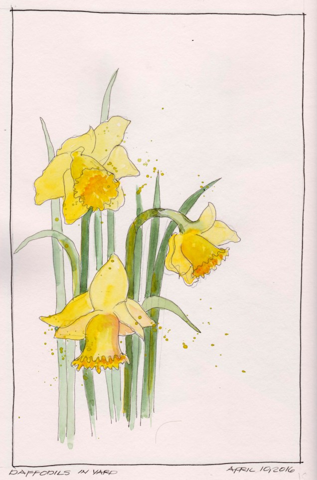 2016-04-10 Daffidols