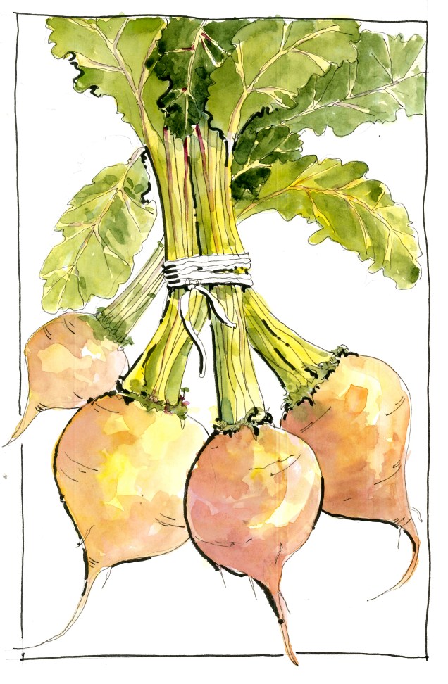 2016-04-6 Golden Beets
