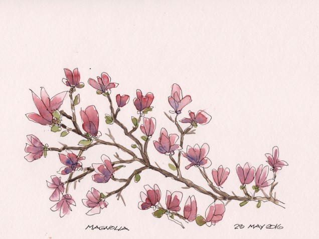 2016-05-23 Magnolia