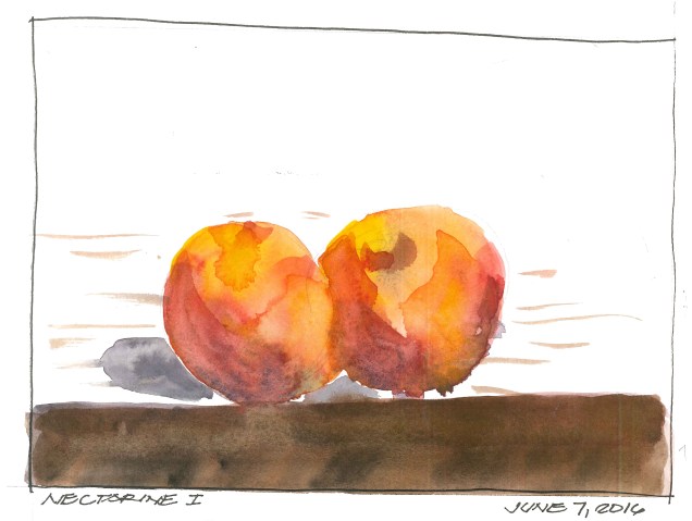 2016-06-07 Nectarine I