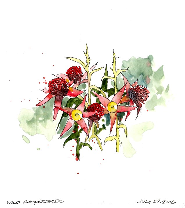 2016-07-27 Raspberries