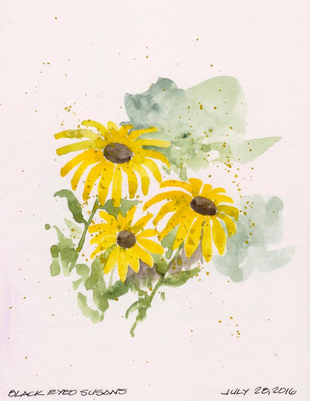 2016-07-28 Black Eyed Susans