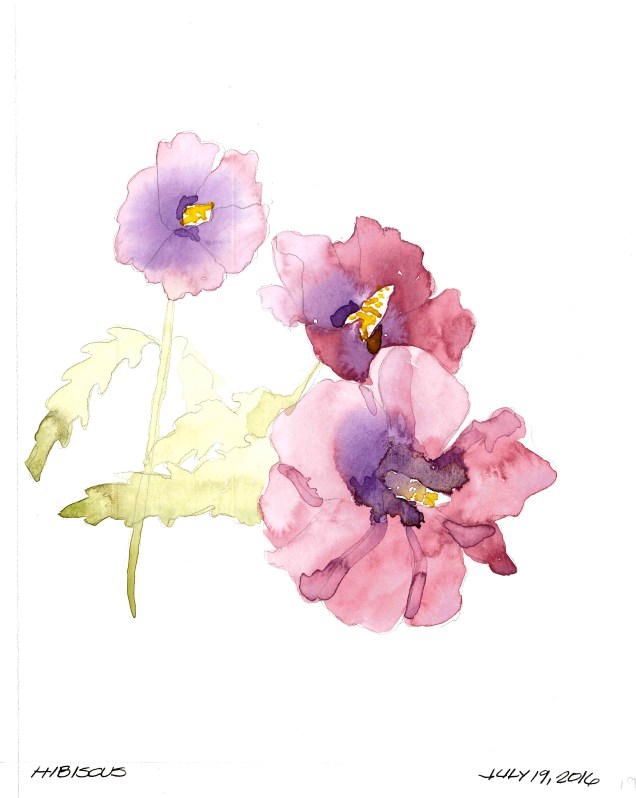 2016-07-19 Hibiscus