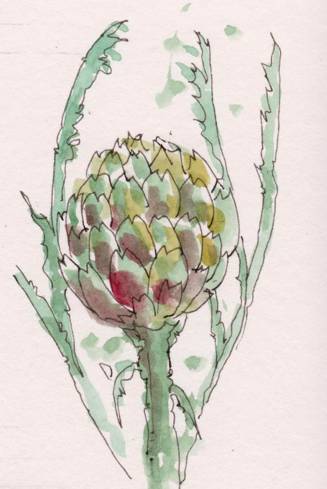 2016-09-25-artichoke