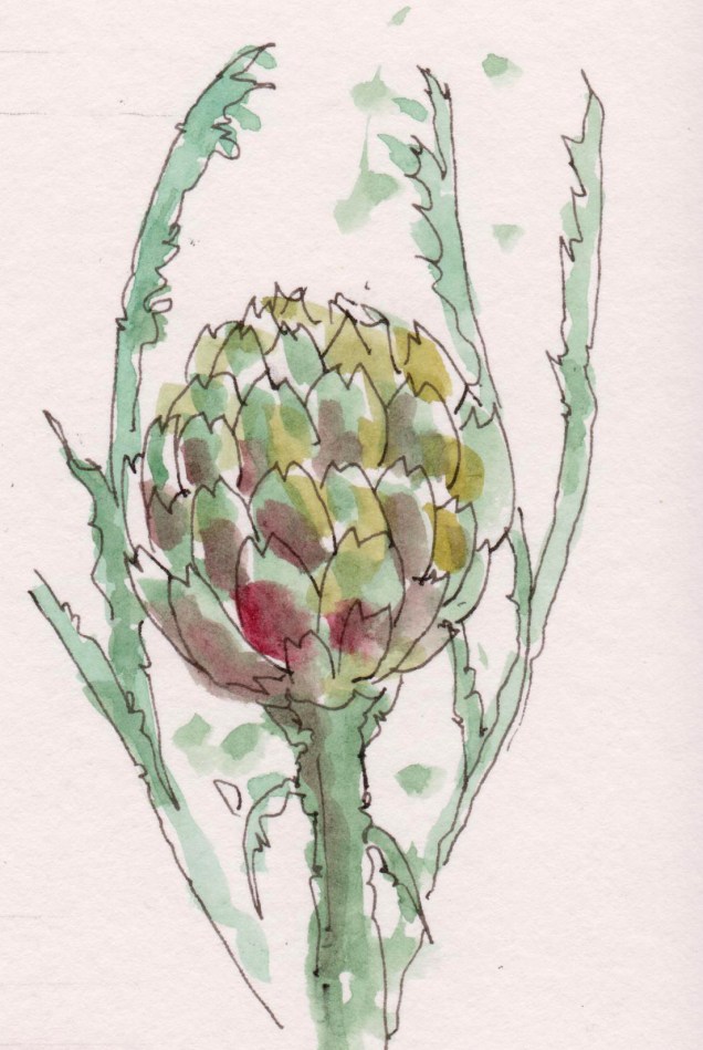 2016-09-25-artichoke