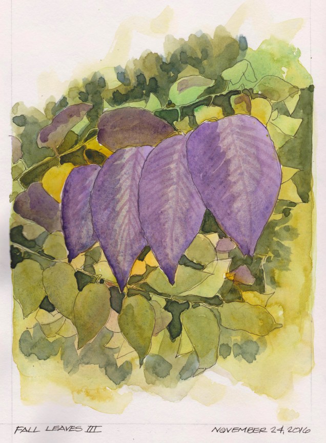 2016-11-24-fall-leaves-iii