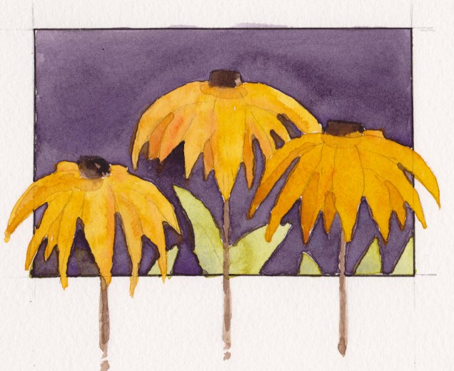 2016-11-27-black-eyed-susans