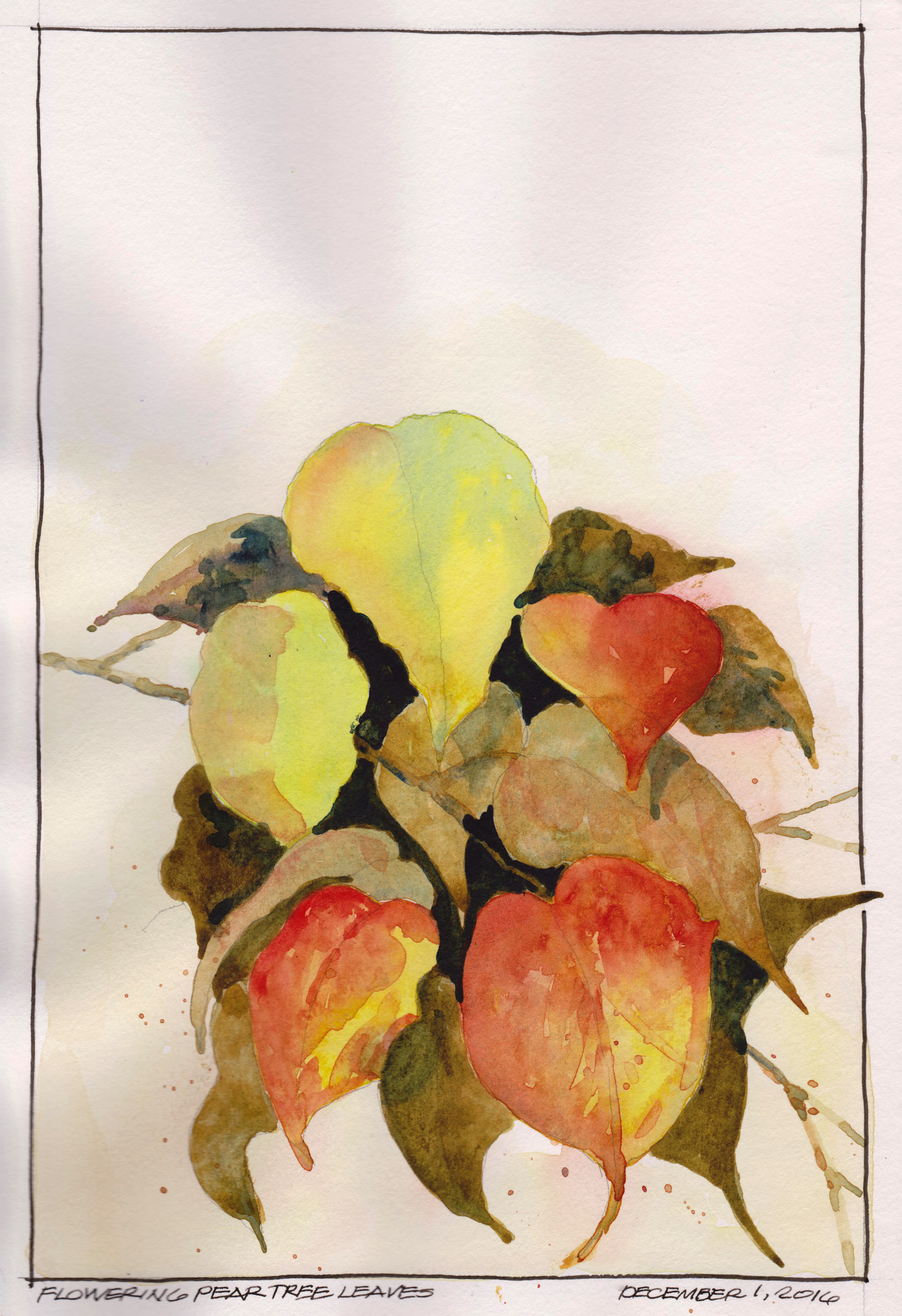 2016-12-01-pear-tree-leaves