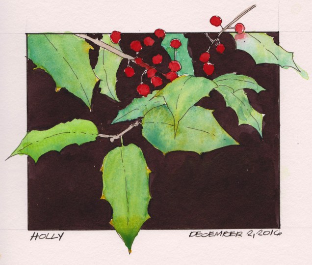 2016-12-02-holly