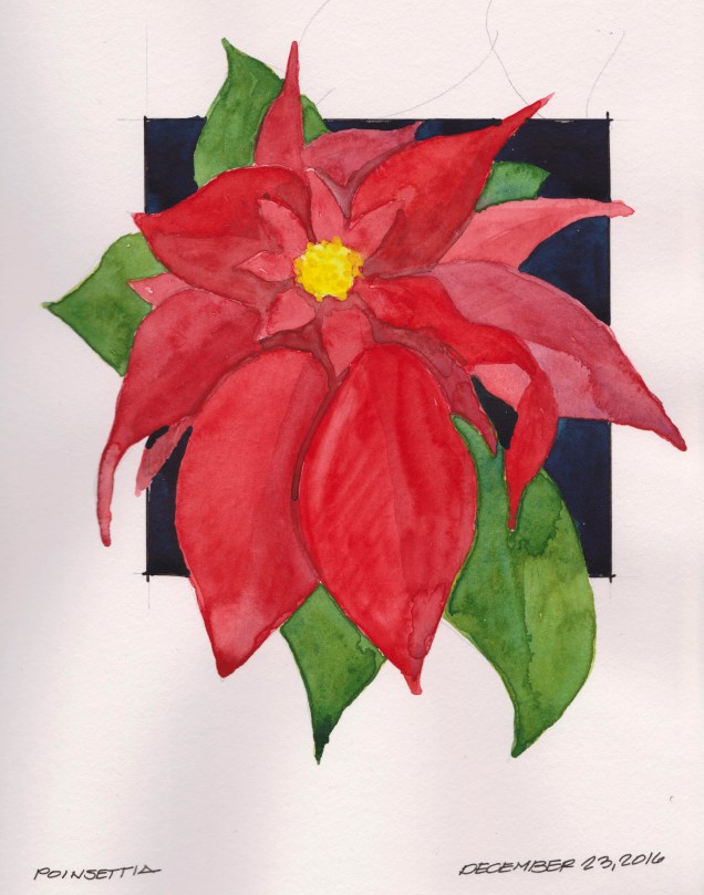 2016-12-23-poinsettia