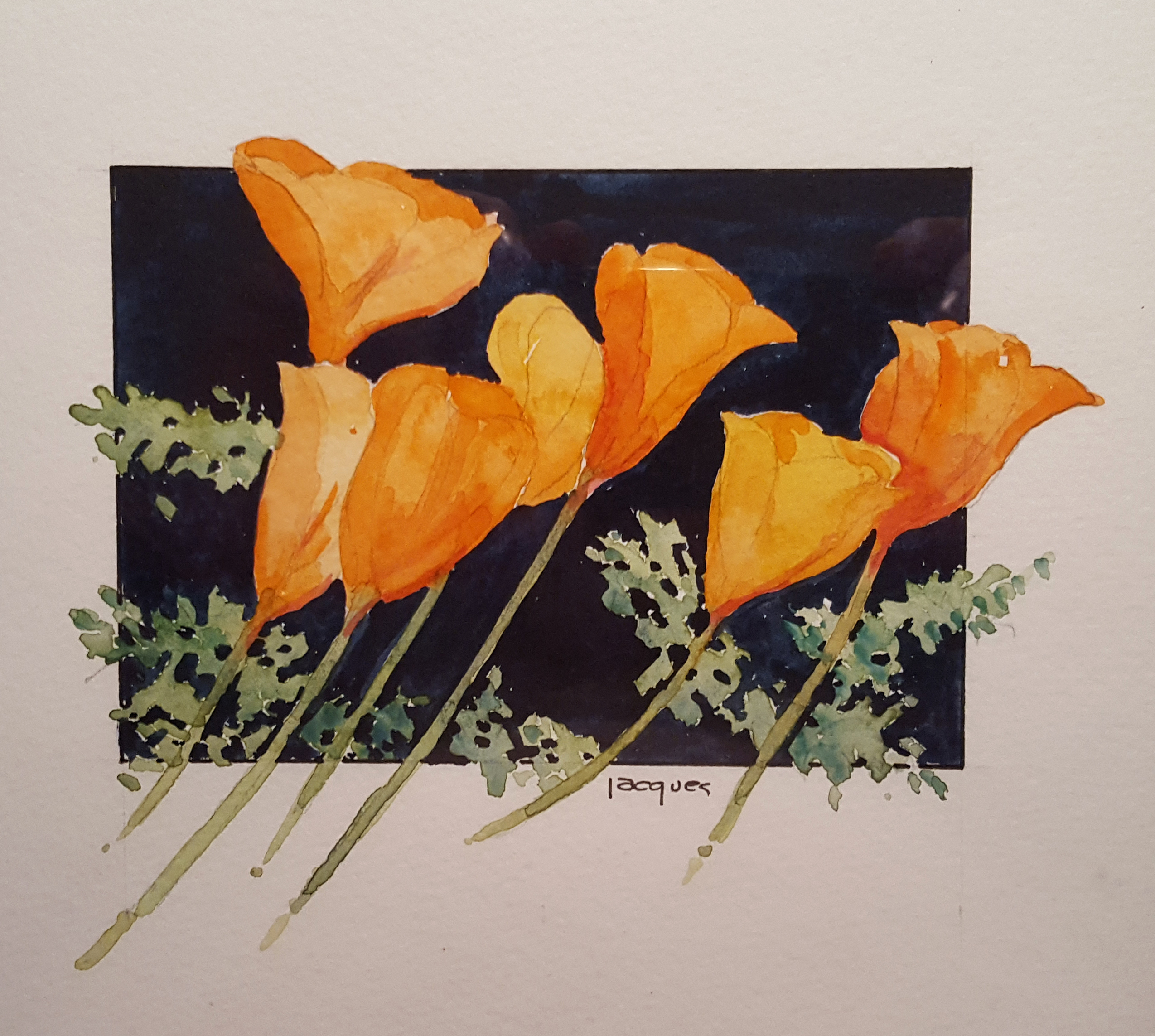 2016-12-27-poppies