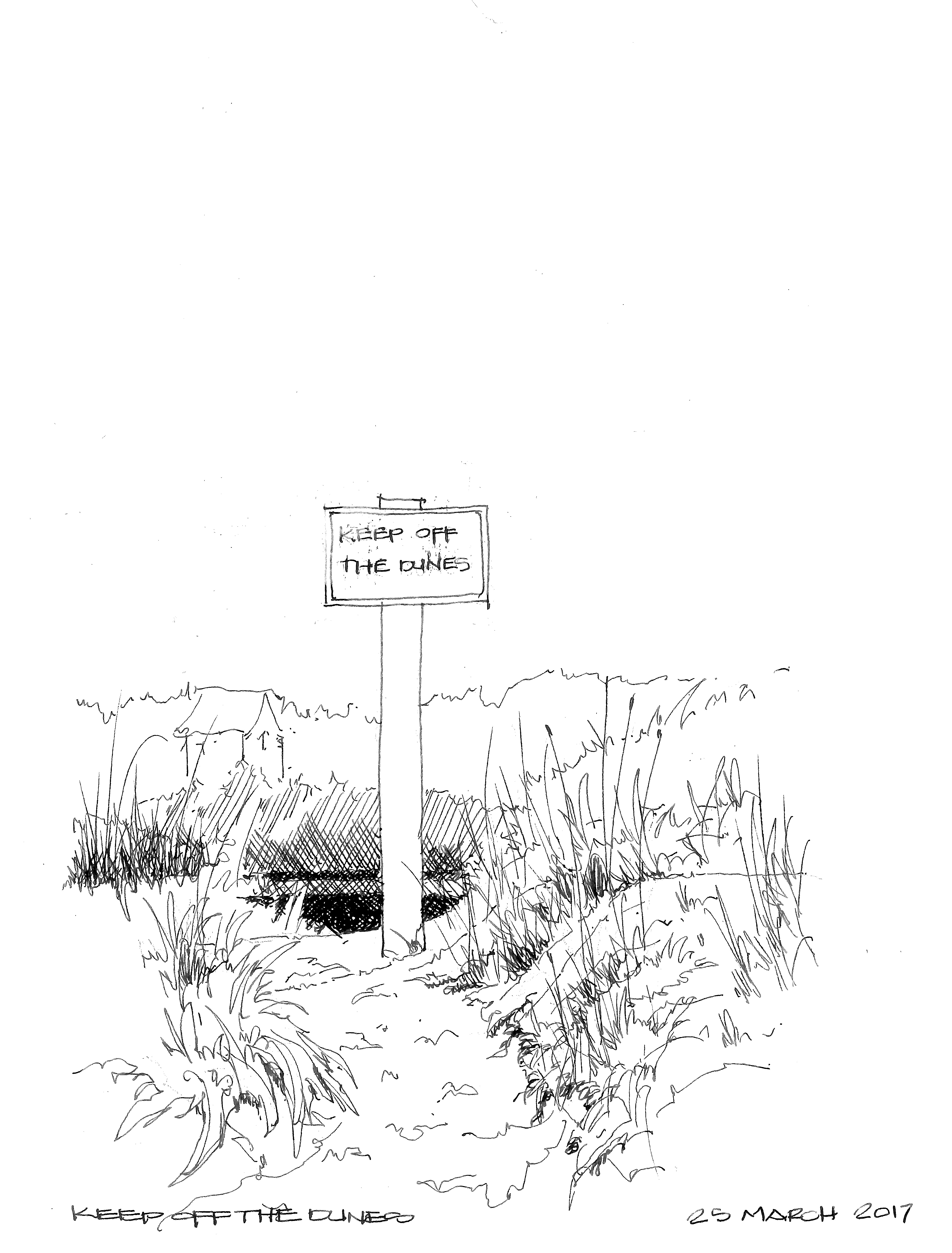 2017-03-25 Keep off the Dunes